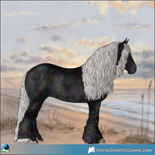 Horse Color:Midnight Chocolate Silver Brown Chinchilla Ice Onyx Rabicano