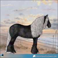 Horse Color:Midnight Chocolate Silver Brown Chinchilla Ice Onyx Rabicano 