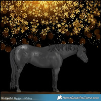 Horse Color:Black and Black