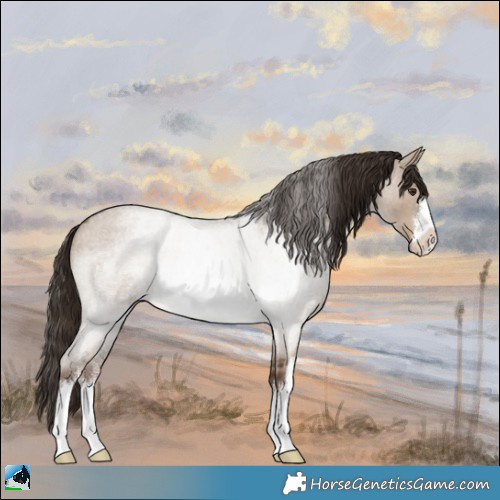Horse Color:White Spotted Liver Red Dun Roan