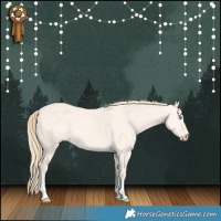 Horse Color:Perlino Dun 