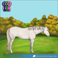 Horse Color:Smoky Creme Dun 