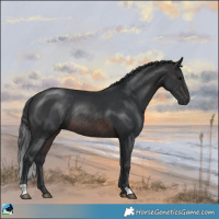 Horse Color:Brown Rabicano 