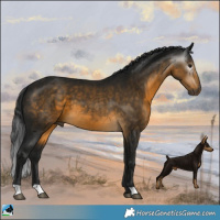 Horse Color:Gray Buckskin 