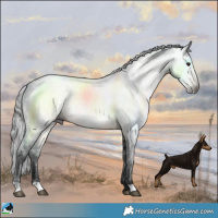 Horse Color:Gray Buckskin 