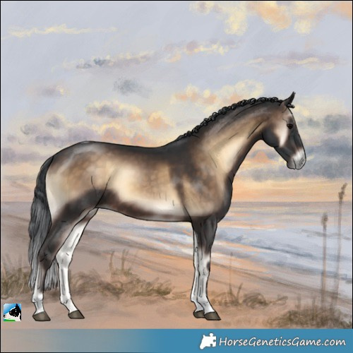 Horse Color:Brown Onyx Tobiano
