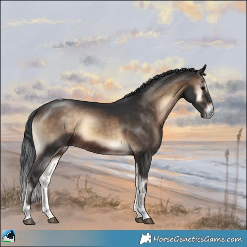 Horse Color:Brown Onyx Tobiano