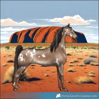 Horse Color:White Spotted Liver Red Dun Rabicano 
