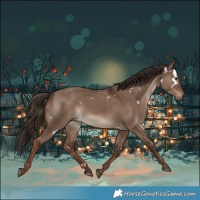 Horse Color:White Spotted Liver Red Dun Rabicano 