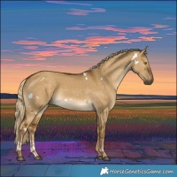 Horse Color:White Spotted Chocolate Palomino Dun Rabicano 