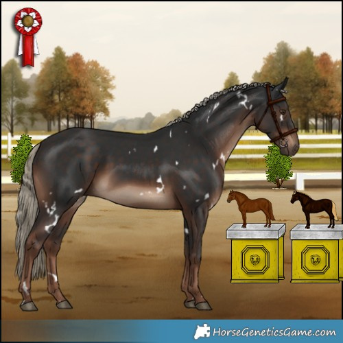 Horse Color:White Spotted Liver Chestnut 