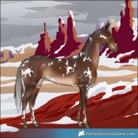 Horse Color:White Spotted Liver Chestnut 