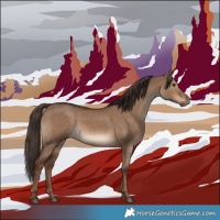 Horse Color:White Spotted Liver Red Dun