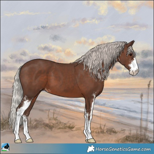 Horse Color:Silver Black Sabino