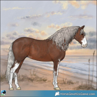 Horse Color:Silver Black Sabino 