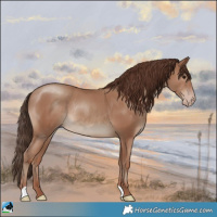 Horse Color:Classic Champagne Rabicano 