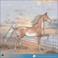Horse Color:Gold Champagne Mushroom 