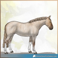 Horse Color:White Spotted Chocolate Palomino Roan Dun 