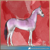 Horse Color:Plaid  Liver Red Dun Onyx Tobiano 