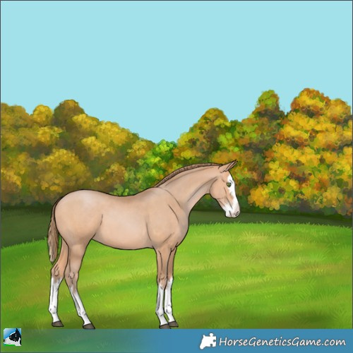 Horse Color:White Spotted Bay Pearl Mushroom Splash 