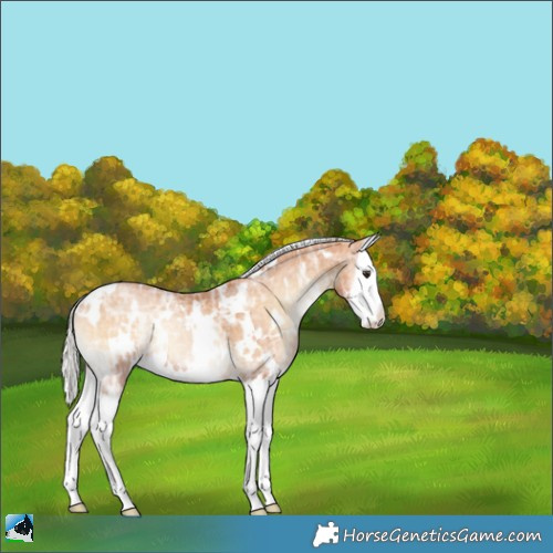 Horse Color:White Spotted Silver Bay Ice Pearl Onyx Splash 