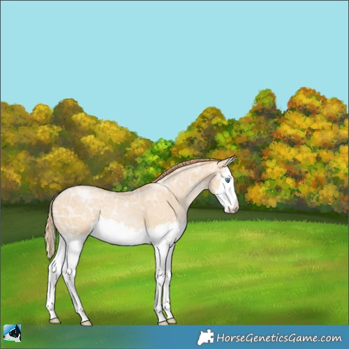 Horse Color:White Spotted Smoky Black Ice Pearl Splash 