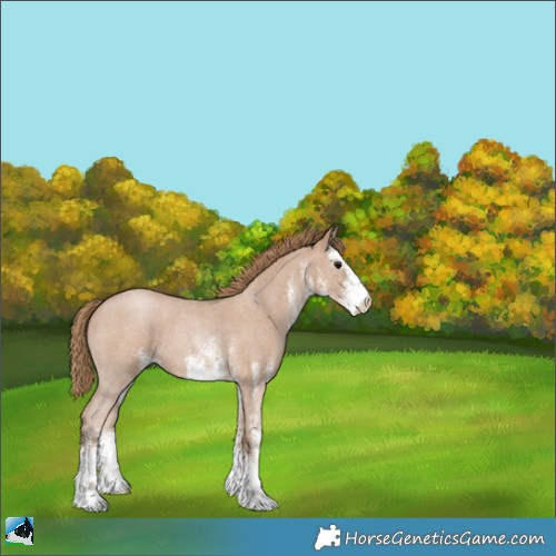 Horse Color:White Spotted Black Pearl 