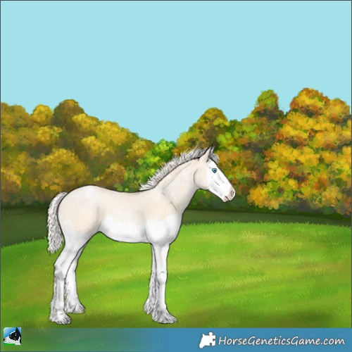 Horse Color:Silver Amber Champagne Ice Pearl Dun Sabino Splash 