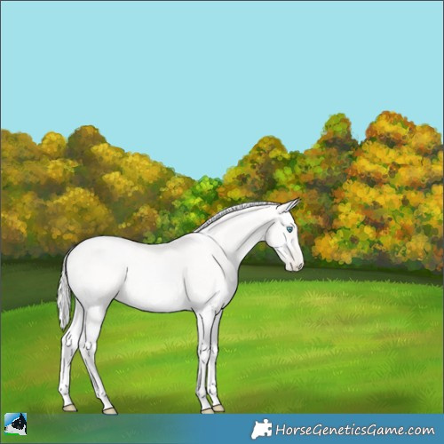 Horse Color:Silver Classic Cream Champagne Ice Pearl Onyx Sabino 