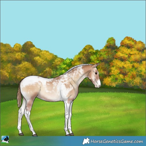 Horse Color:White Spotted Blue Onyx Pearl Tobiano 
