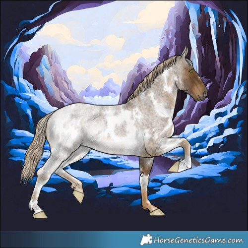 Horse Color:White Spotted Chocolate Palomino Roan 