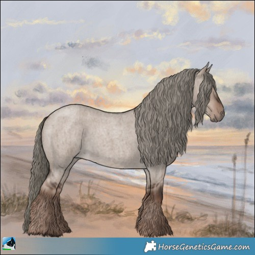 Horse Color:Liver Red Dun Roan Mushroom Rabicano Brindle 