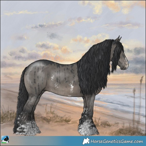 Horse Color:Grullo Mushroom Sabino Brindle 