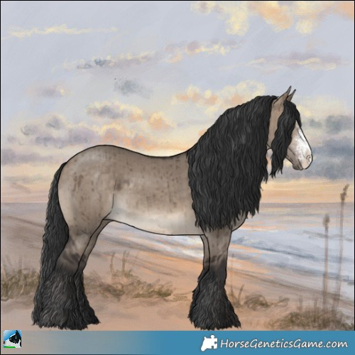 Horse Color:Brown Dun Sabino Rabicano Brindle