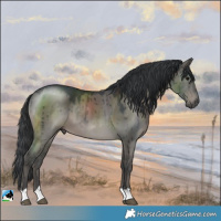 Horse Color:Grullo Mushroom Brindle 