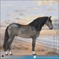 Horse Color:Grullo Mushroom Brindle