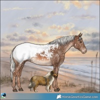 Horse Color:Chestnut Mushroom Snowcap