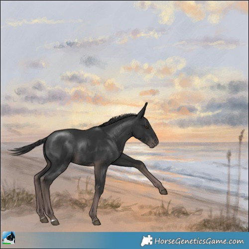 Horse Color:Platinum Liver Chestnut Rabicano 