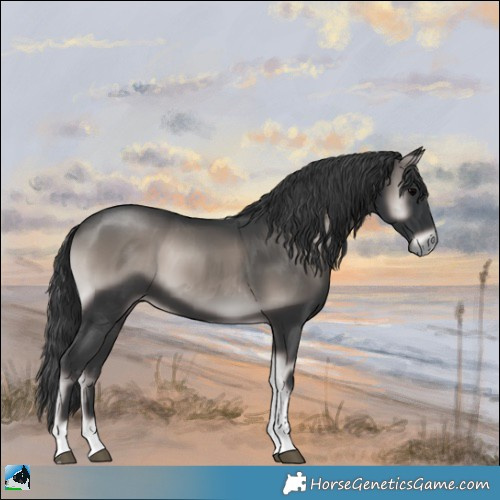 Horse Color:Platinum Blue Onyx Tobiano Rabicano 