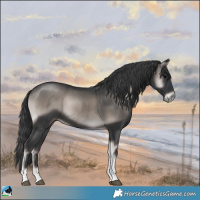 Horse Color:Platinum Blue Onyx Tobiano Rabicano 