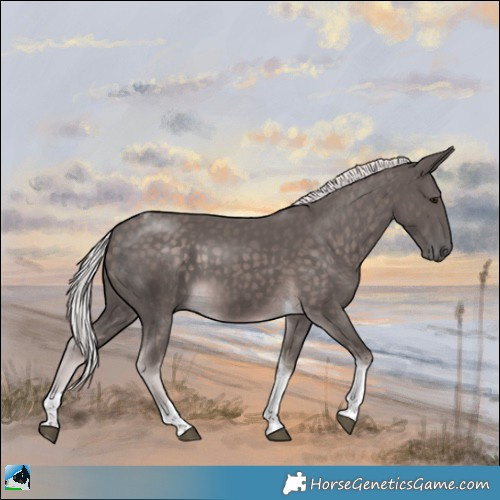 Horse Color:Platinum Chocolate Palomino Tobiano