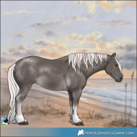 Horse Color:Platinum Chocolate Palomino Tobiano