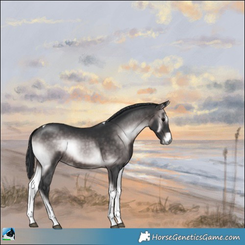 Horse Color:Platinum Brown Onyx Tobiano Rabicano 