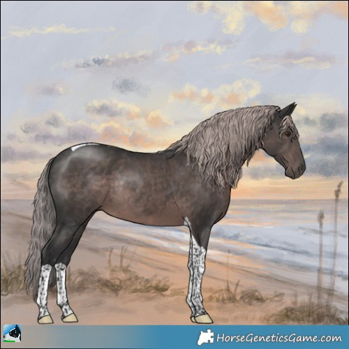 Horse Color:Platinum Liver Chestnut Tobiano Rabicano