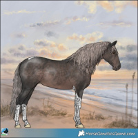 Horse Color:Platinum Liver Chestnut Tobiano Rabicano 