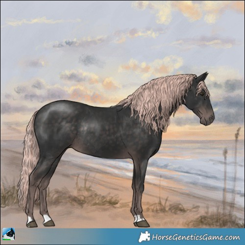 Horse Color:Platinum Liver Chestnut Rabicano 