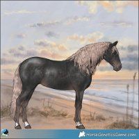 Horse Color:Platinum Liver Chestnut Rabicano 