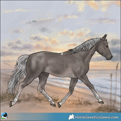 Horse Color:Platinum Chocolate Palomino Tobiano Rabicano