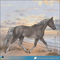 Horse Color:Platinum Chocolate Palomino Tobiano Rabicano