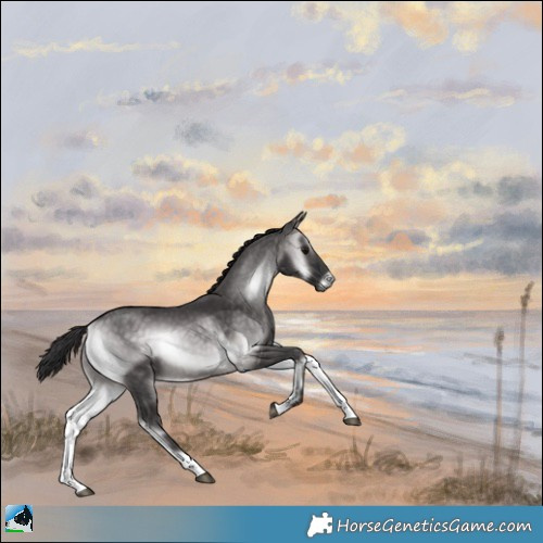 Horse Color:Platinum Buckskin Onyx Rabicano 
